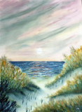 Blick durch die Dünen, 2009