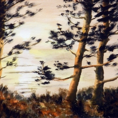 Rügen, Steilküste in der Abendsonne, 2009