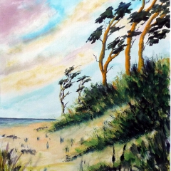 Windflüchter II, 2009