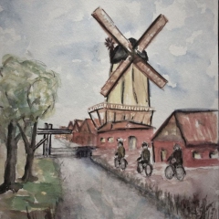 29-2019-08_Dollart-Radweg