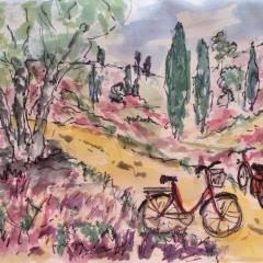 30-2019-08_Wümme