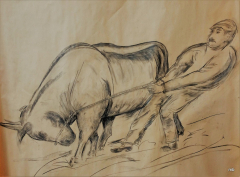 Stier-1