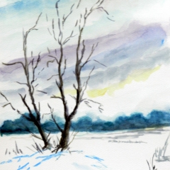 Winter im Cuxland, 2014