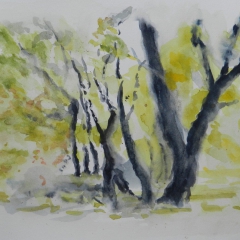 Frühling, 2016